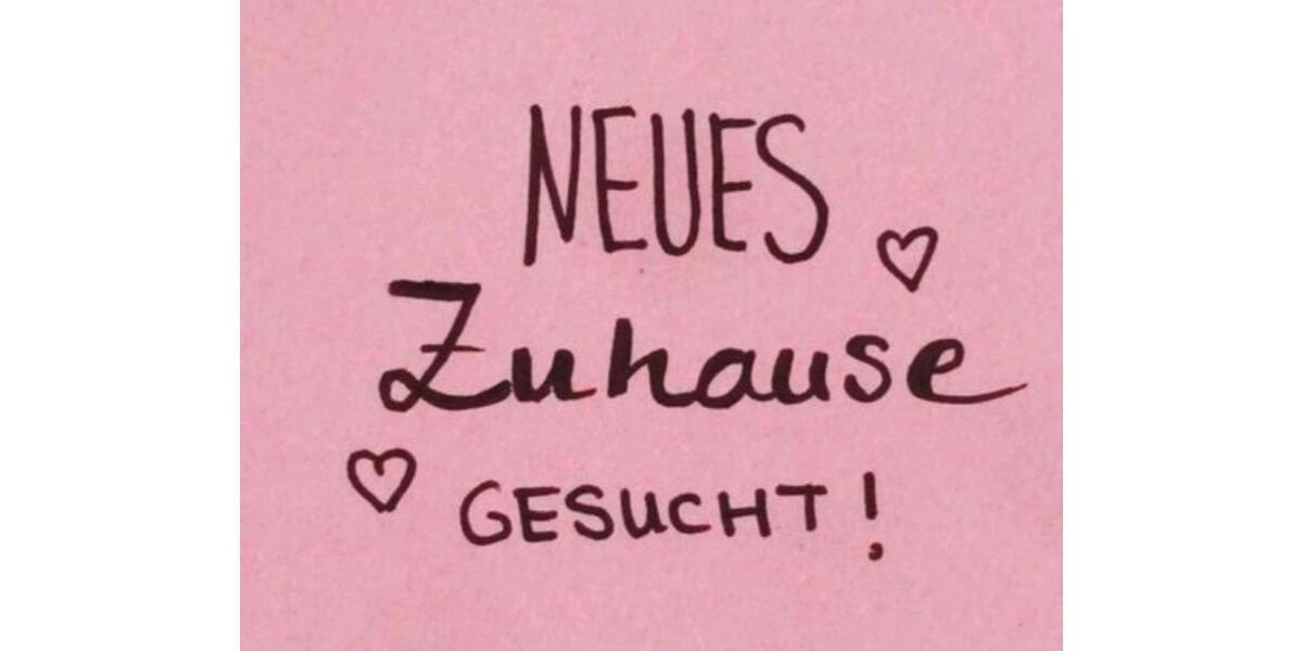 Erdgeschoßwohnung Schweinfurt Gartenstadt - 3 Zimmer, 70 m&sup2;, 800&euro; | Angebot:26388058