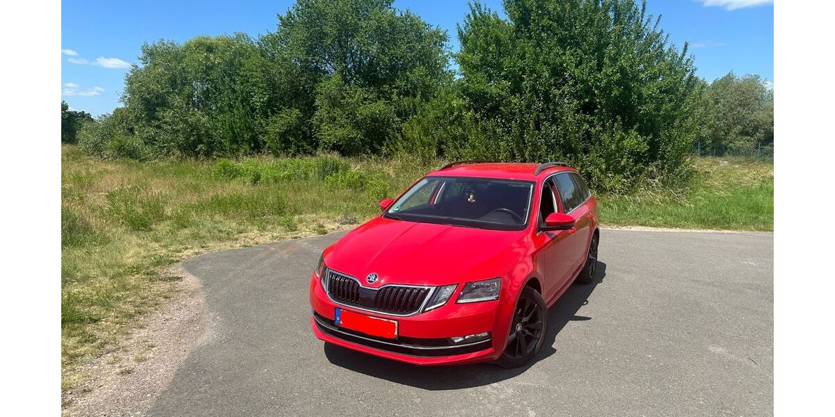 Skoda Octavia 117.078 km 13.900 &euro; Leimbach 36433