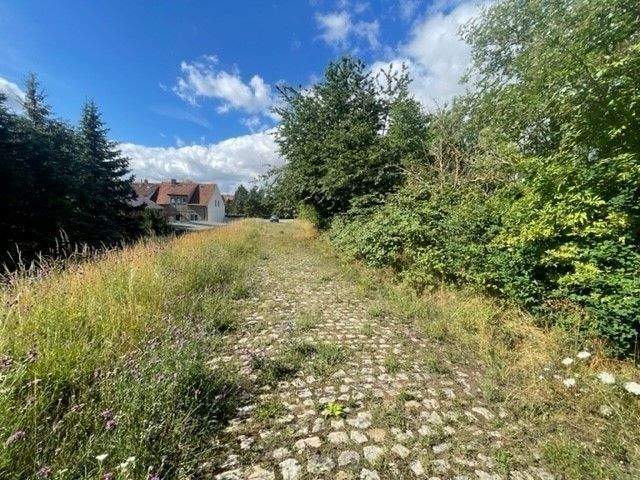 Grundstück Wethau - 55.000&euro; | Angebot:25680420