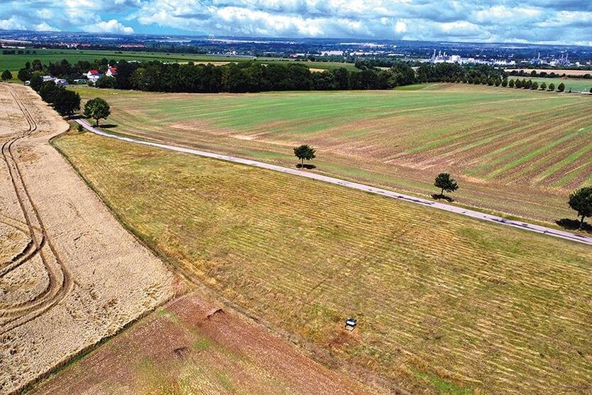 Regelmäßig geschnittenes Grundstück umgeben von Landwirtschaftsflächen