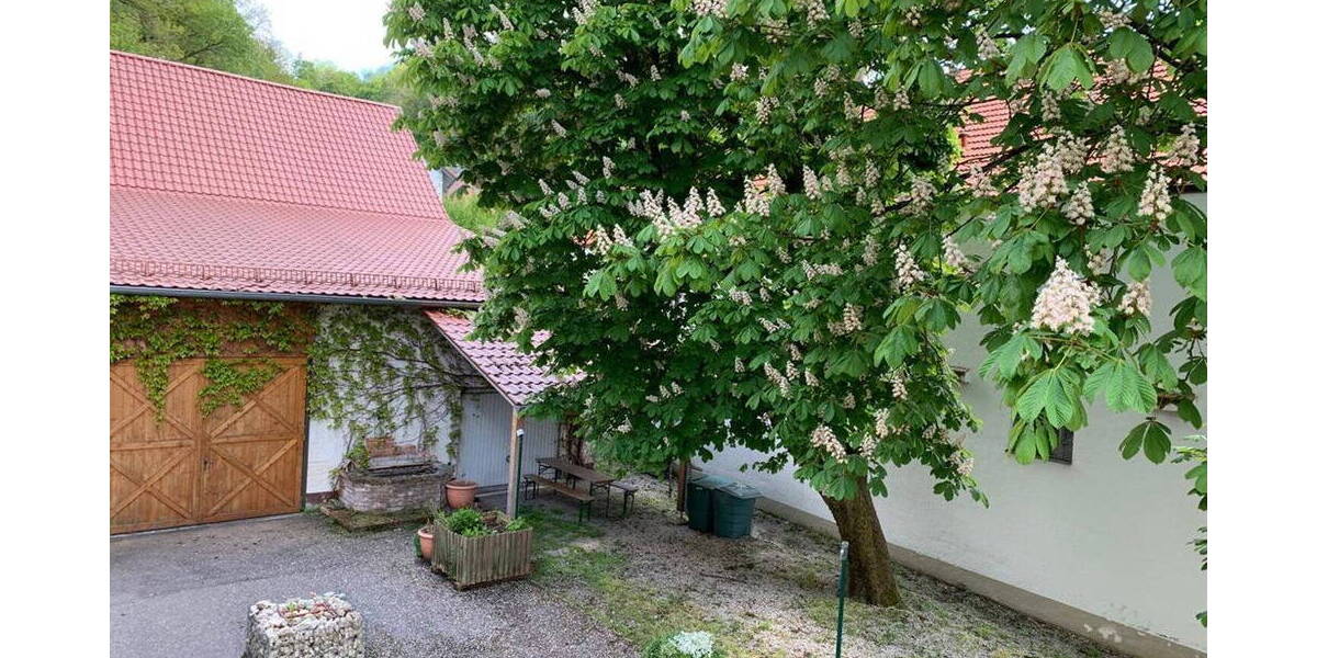 Gewerbeobjekt Altdorf Eugenbach - 2 Zimmer, 2.490.000&euro; | Angebot:26031366