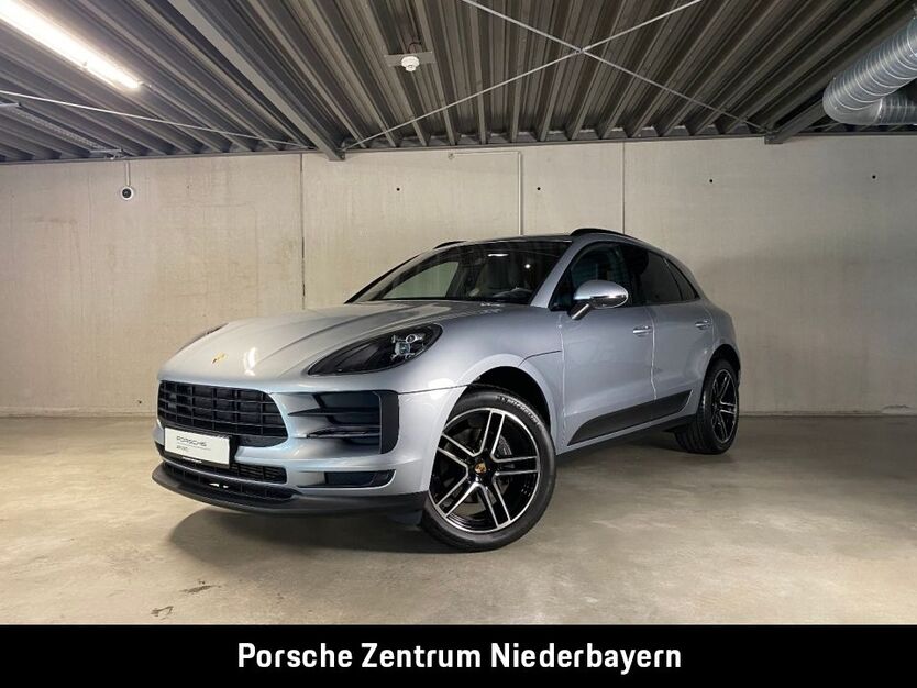Macan