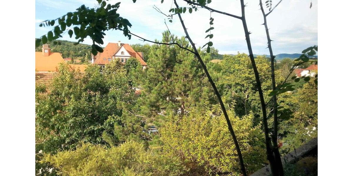 Dachgeschoßwohnung Emmendingen - 3.5 Zimmer, 110 m&sup2;, 379.000&euro; | Angebot:26820071