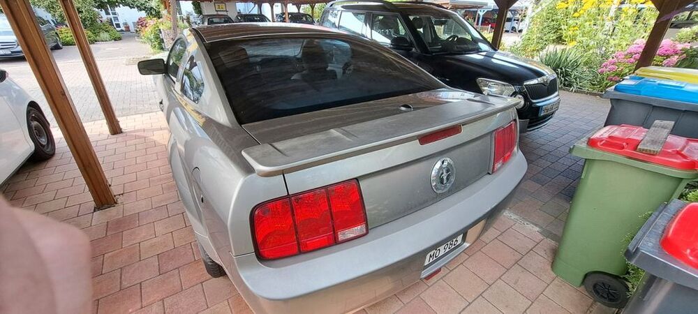 Mustang
