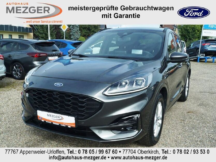 Kuga