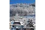 Einfamilienhaus Hornberg Stadtgebiet - 7 Zimmer, 200 m&sup2;, 599.000&euro; | Angebot:25736899