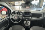 Fiat Panda Cross Red 1.0 Hybrid 1.Hand Neuwertig! 38.820 km 11.740 &euro; Lich 35423