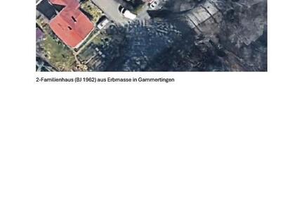 Haus Gammertingen - 262.000&euro; | Angebot:26685871