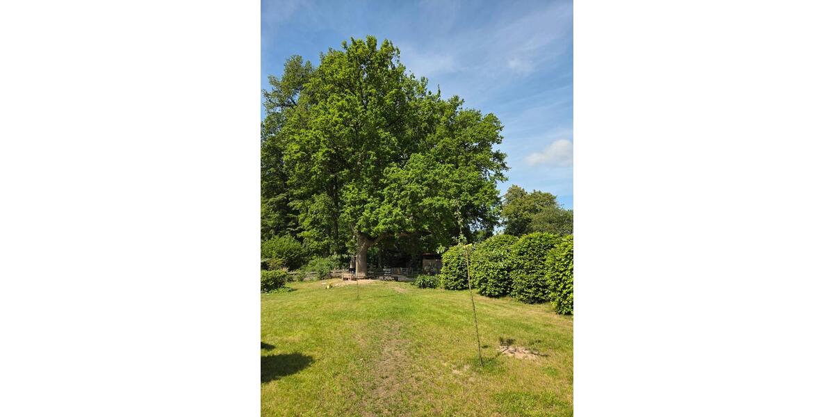 Dachgeschoßwohnung Suderburg - 2 Zimmer, 44 m&sup2;, 99.000&euro; | Angebot:27168828