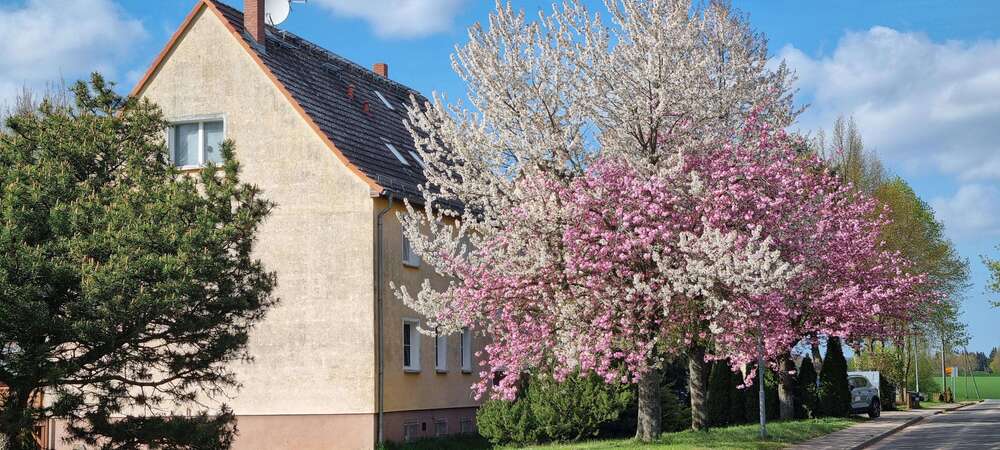 Etagenwohnung Nadrensee - 3 Zimmer, 63 m&sup2;, 69.000&euro; | Angebot:26463614