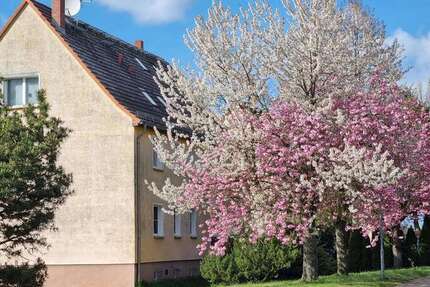 Wohnung Nadrensee - 3 Zimmer, 63 m&sup2;, 69.000&euro; | Angebot:26463614