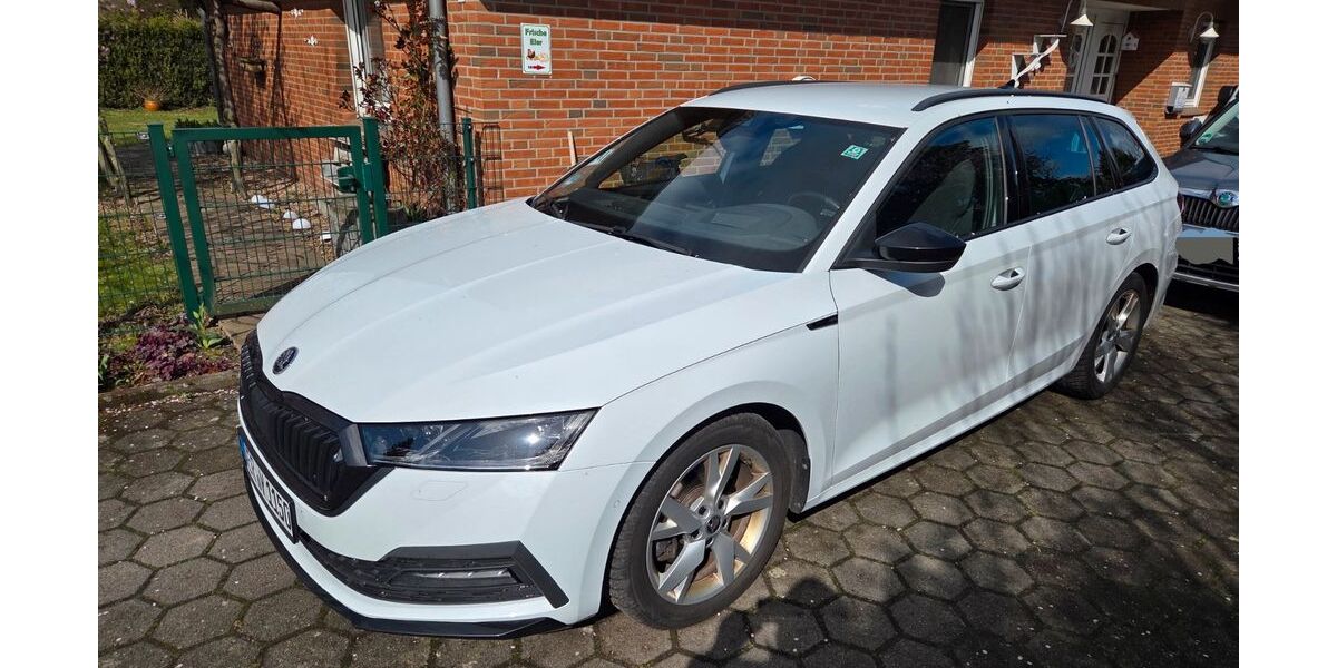 Skoda Octavia 163.000 km 18.500 &euro; Kirchlinteln 27308
