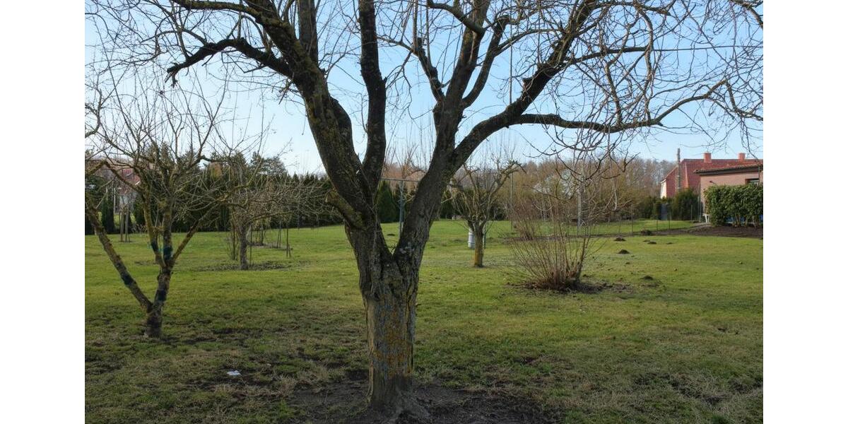 Großzügige 3-Zimmer-Erdgeschosswohnung in attraktiver Lage 3 zimmer