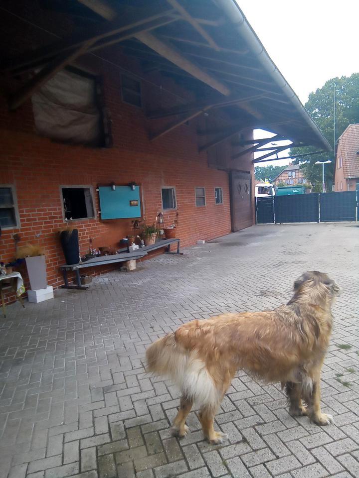 Resthof geeignet für Tierhaltung