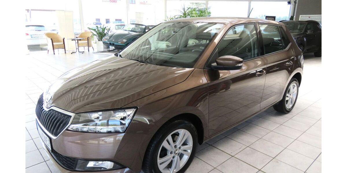 Skoda Fabia 44.953 km 12.950 &euro; Dessau-Roßlau 06847