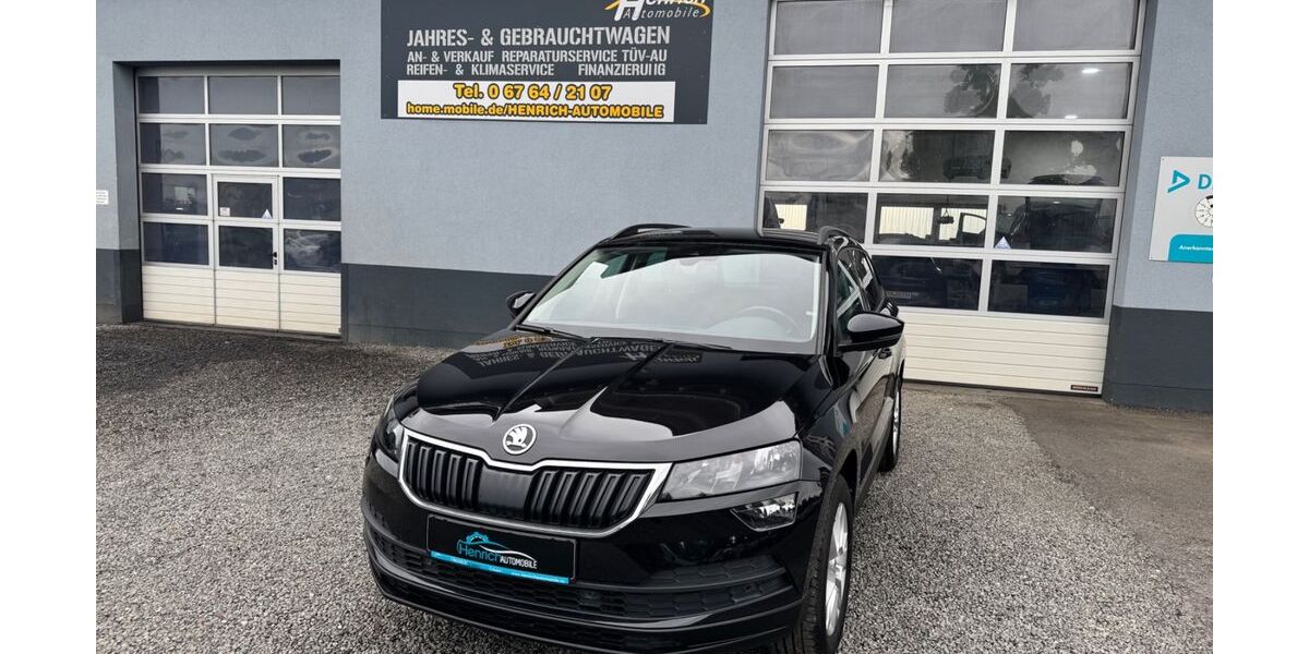 Skoda Karoq 160.927 km 18.999 &euro; Erbach 55494