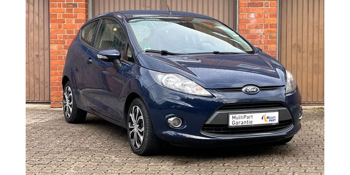 Ford Fiesta 115.000 km 2.999 &euro; Geesthacht (bei Hamburg) 21502