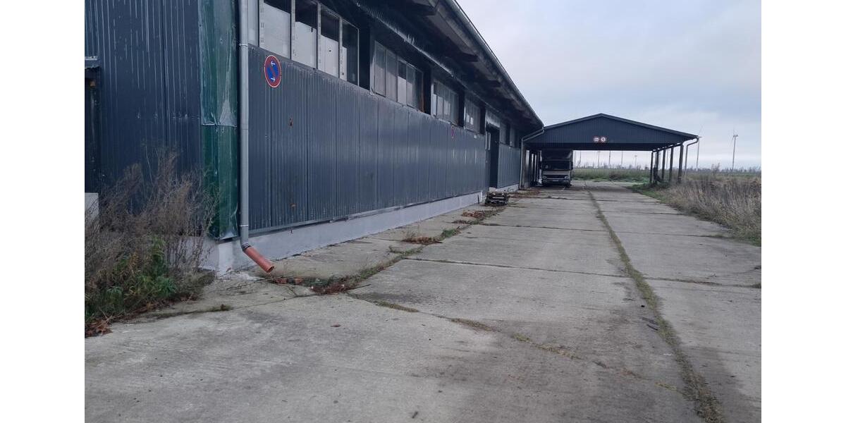 Gewerbeobjekt Wriezen - 2.000&euro; | Angebot:20384137