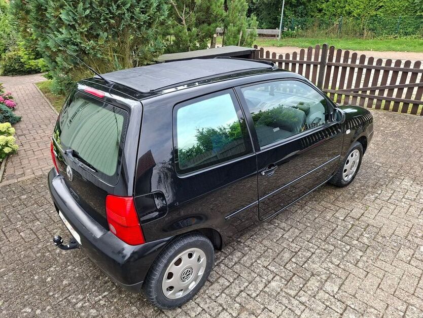 Lupo