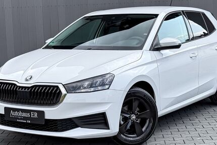 Skoda Fabia 8.000 km 14.480 &euro; Reutlingen 72770
