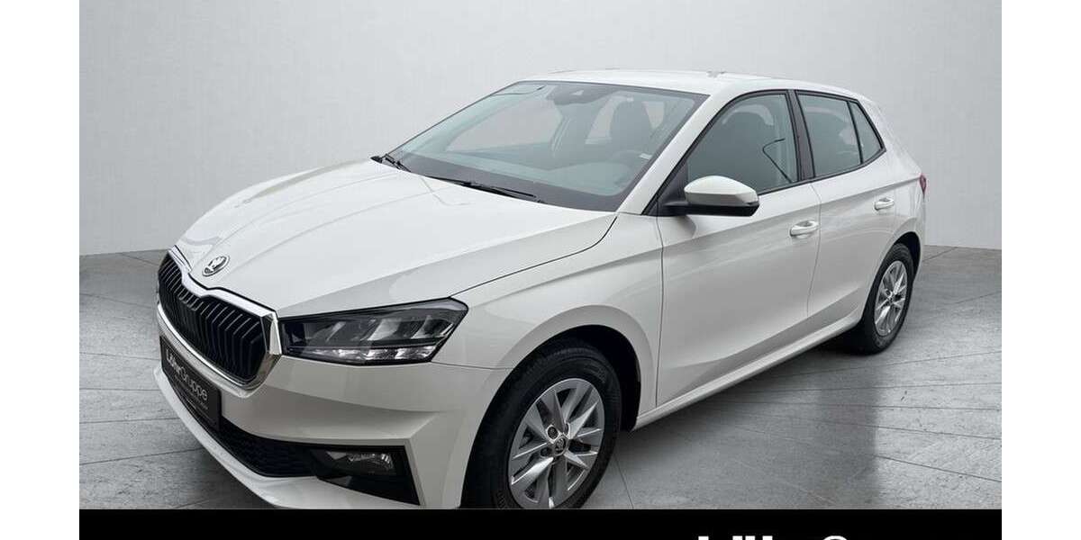Skoda Fabia 18.906 km 14.990 &euro; Daun 54550