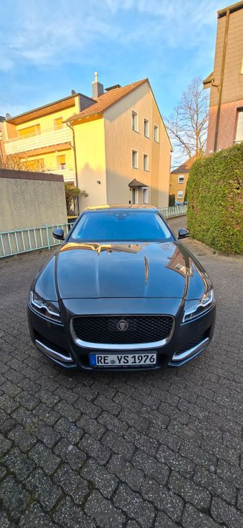 XF