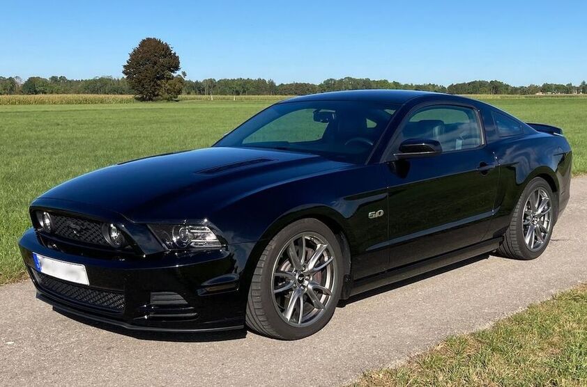 Mustang