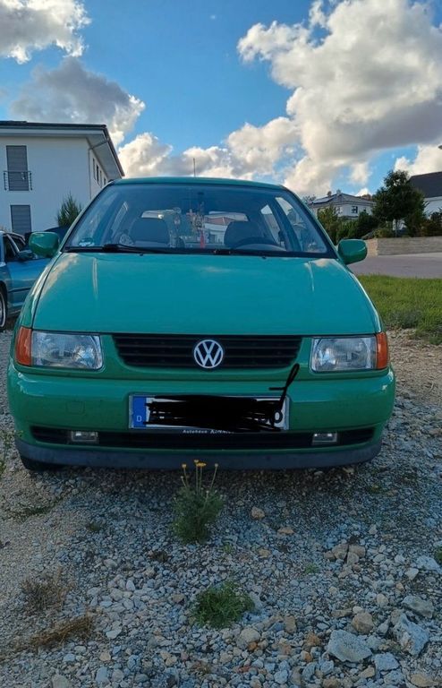 Polo