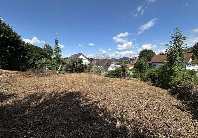 ZUSÄTZLICHE BAUVORANFRAGE FÜR EIN MFH LÄUFT - Grundstück Friesenheim | Angebot:26714978