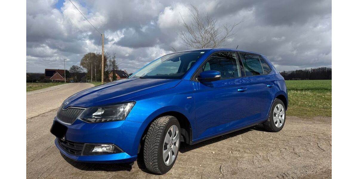 Skoda Fabia 95.000 km 9.500 &euro; Verden 27283