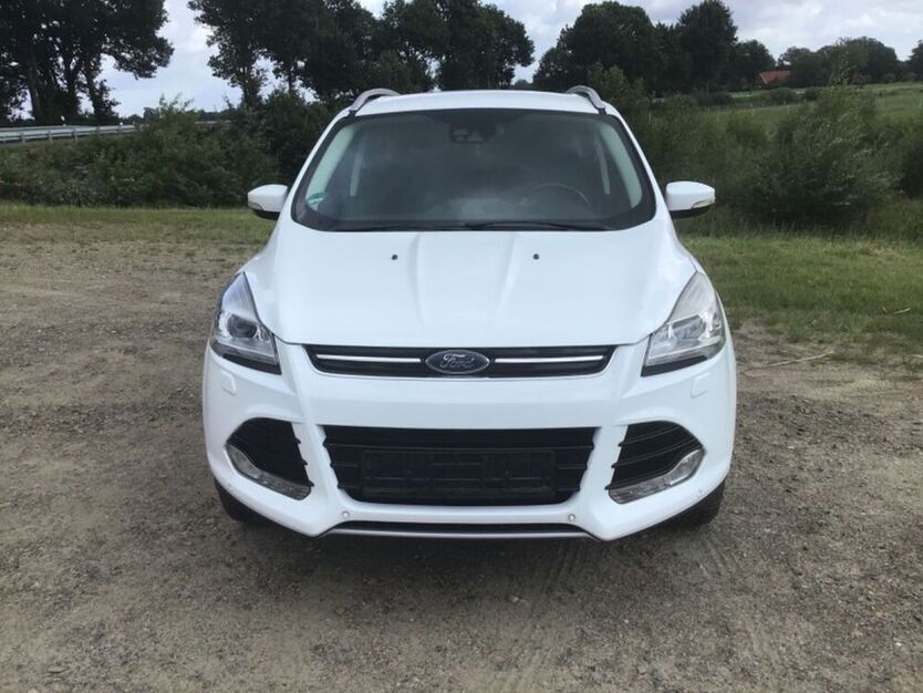 Kuga