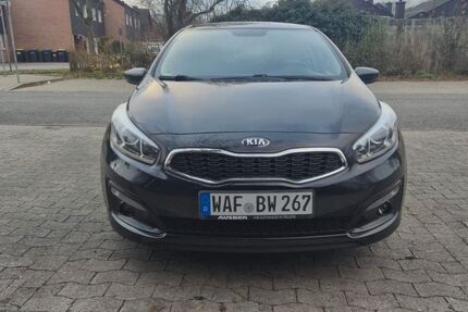 Kia ceed / Ceed 142.500 km 7.990 &euro; Ahlen 59227