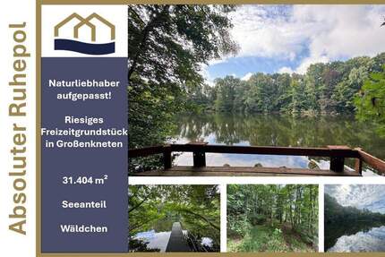 Exklusive Seeliegenschaft in Großenkneten 31.404m² Naturidyll mit privatem Steg und eigenem Wäldchen zimmer