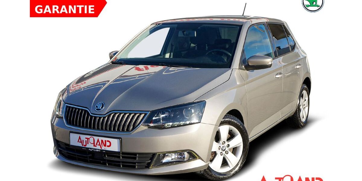 Skoda Fabia 67.618 km 11.990 &euro; Eisenhüttenstadt 15890