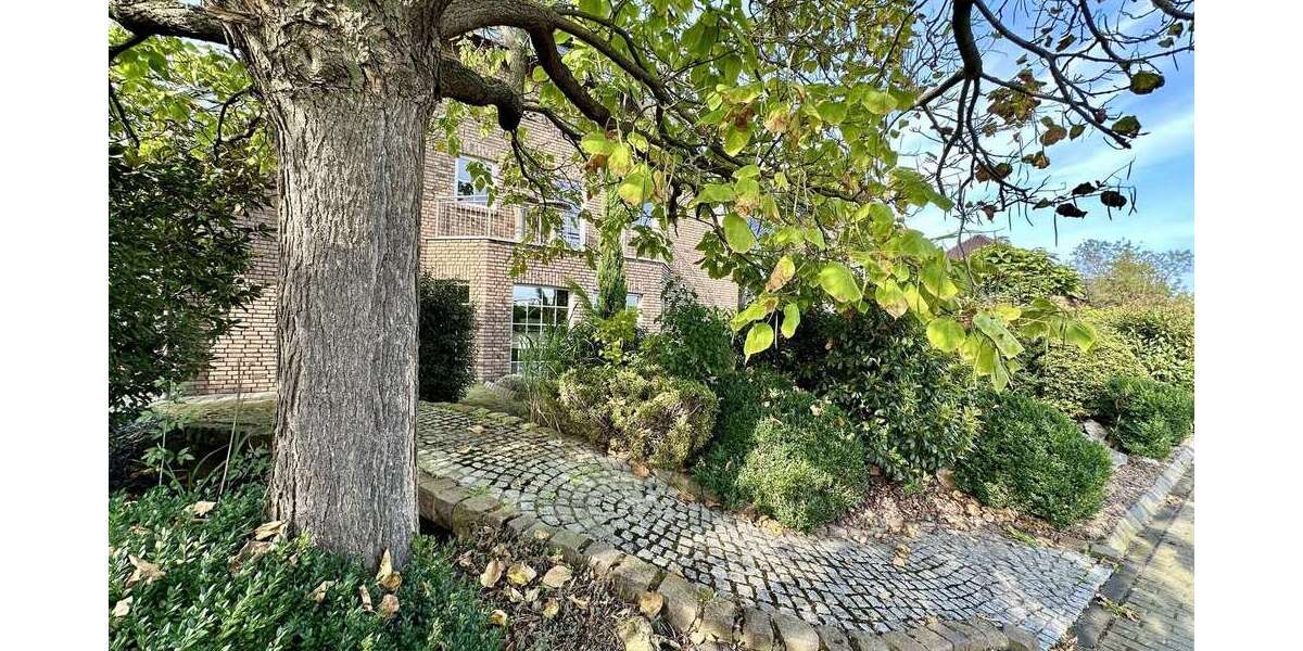 Gewerbeobjekt Euskirchen Dom-Esch - 1.435&euro; | Angebot:27033101