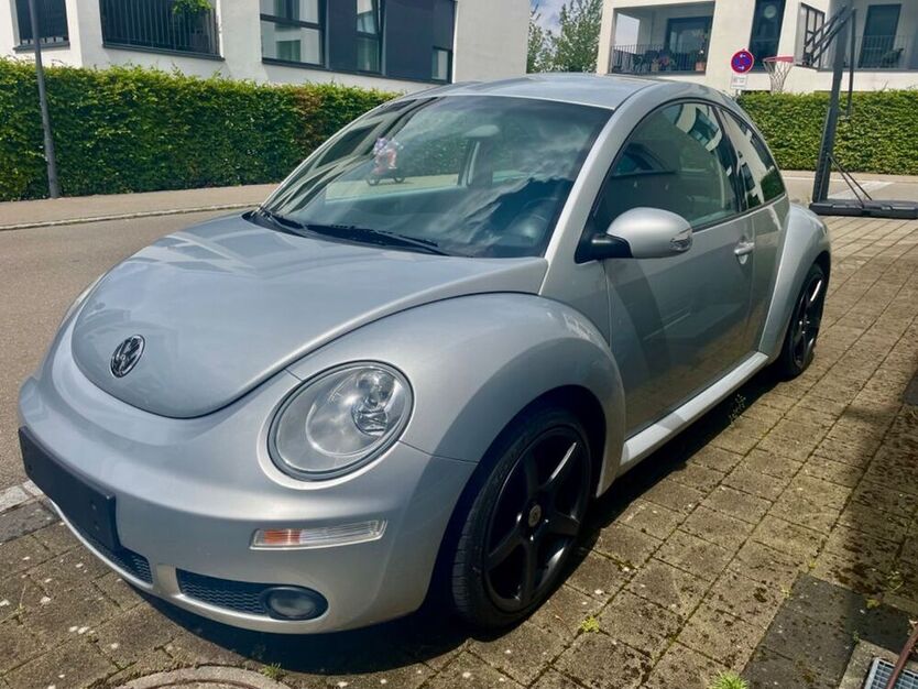 Beetle