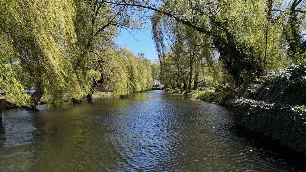Grundstück Schwielowsee Caputh - 3.000.000&euro; | Angebot:26642901