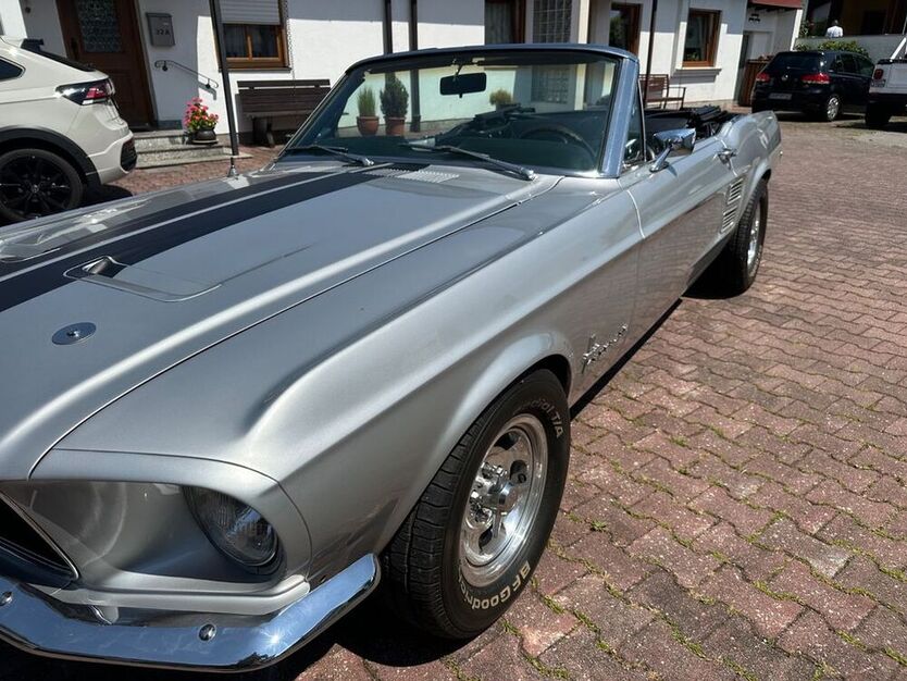 Mustang