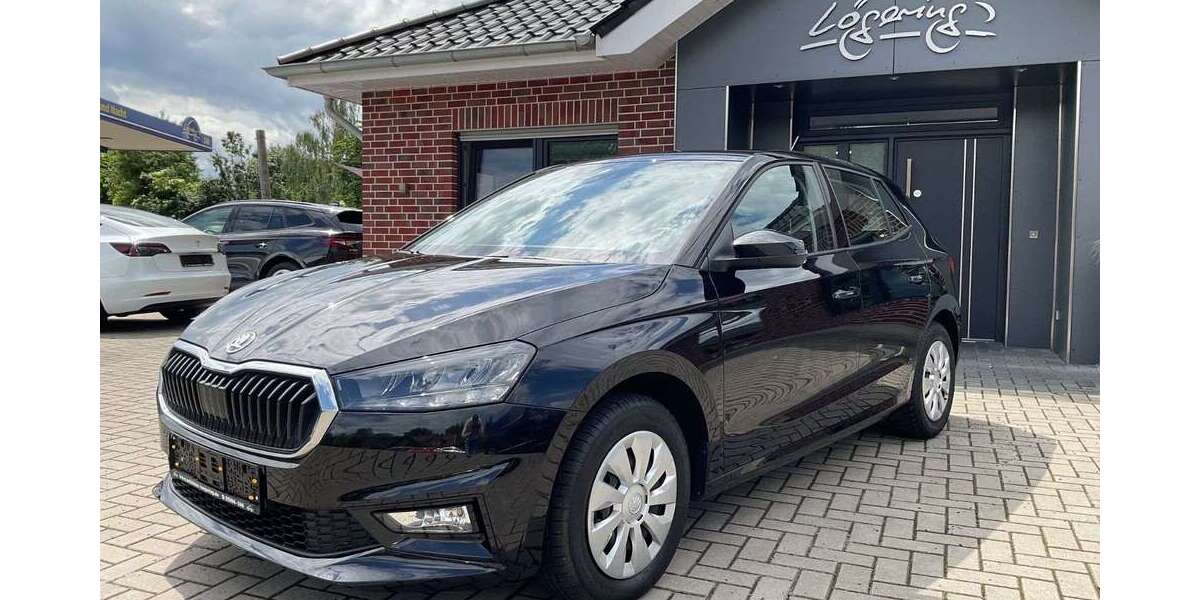 Skoda Fabia 29.936 km 17.350 &euro; Lünne 48480