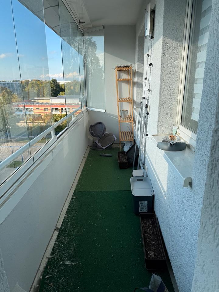 4 Zimmer Wohnung Greifswald zimmer