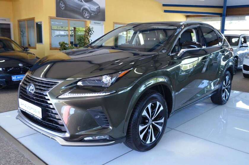 NX 300