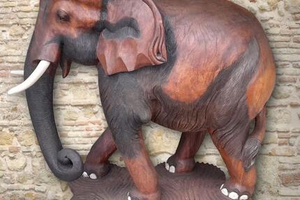 Elefant, sehr alt, sehr selten 1 zimmer