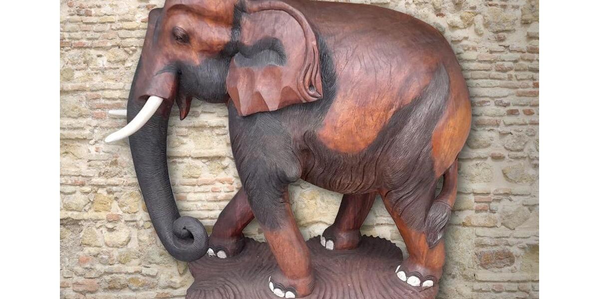 Elefant, sehr alt, sehr selten 1 zimmer