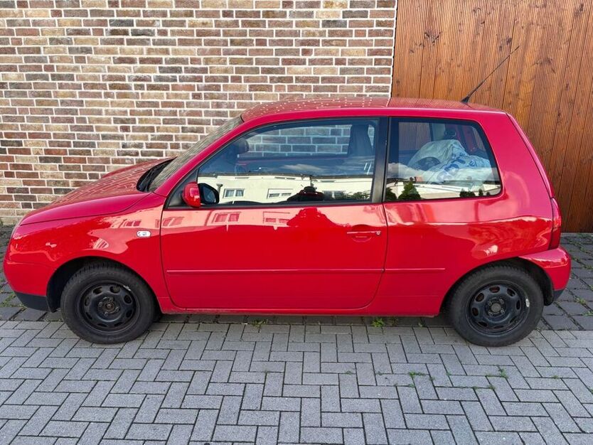 Lupo