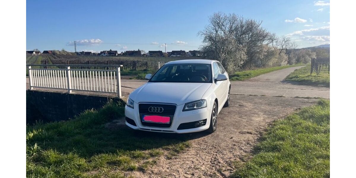 Audi A3 227.000 km 3.499 &euro; Annweiler am Trifels 76855