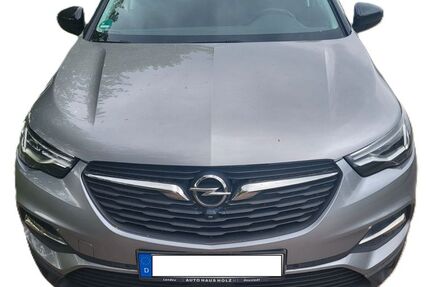Opel Grandland (X) 142.000 km 13.500 &euro; Landau 76833