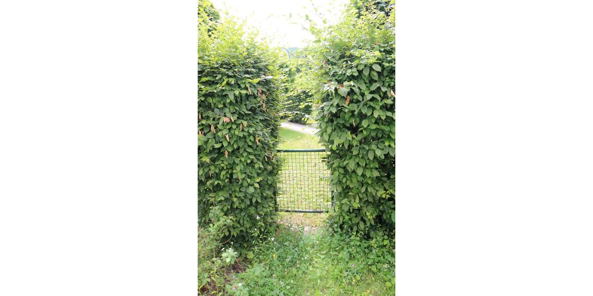 Erdgeschoßwohnung Friedberg - 1 Zimmer, 36 m&sup2;, 207.000&euro; | Angebot:25170294