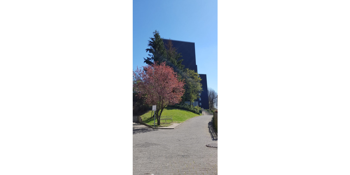 Erdgeschoßwohnung Siegen - 3 Zimmer, 85 m&sup2;, 640&euro; | Angebot:26300935