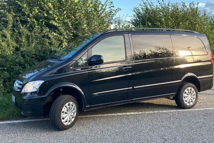 Mercedes Viano