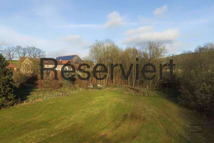 Grundstück Heinersreuth Hahnenhof - 98.000&euro; | Angebot:19891696